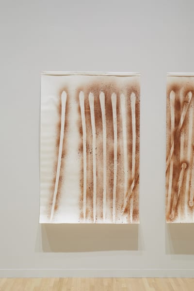 D Harding, with Hayley Matthew, Installation view of 'Know them in correct judgement - Gami'