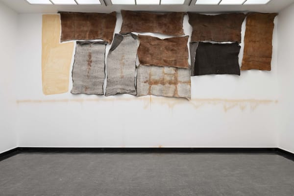 Wool blankets Wool blankets