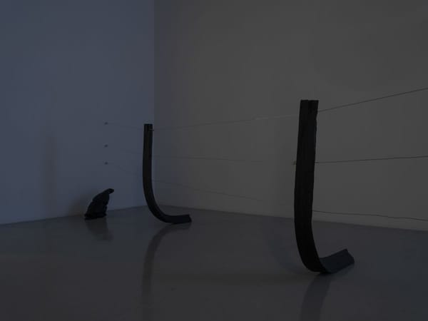 breaking boundaries (fence) breaking boundaries (fence)