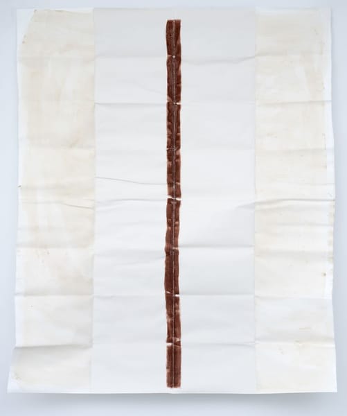 Titanium dioxide & Rouge de Venis