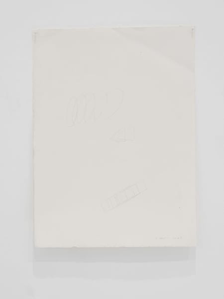 Untitled (from the light) Untitled (from the light)