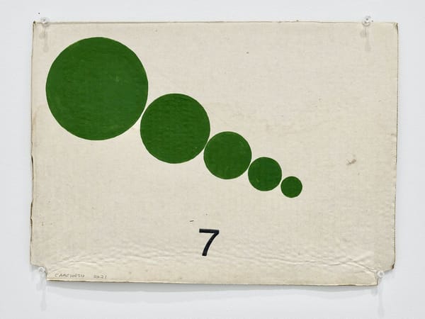 Magnetic field theory