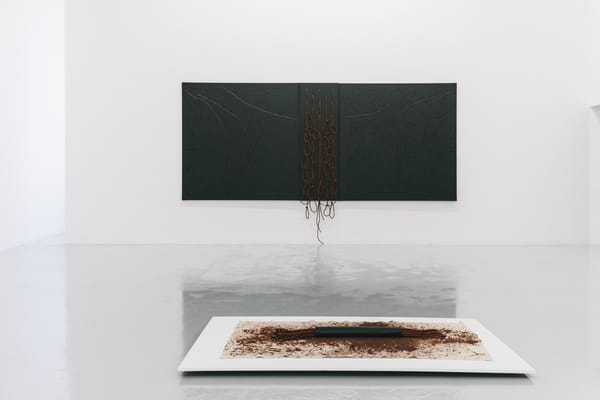 Installation view Installation view
