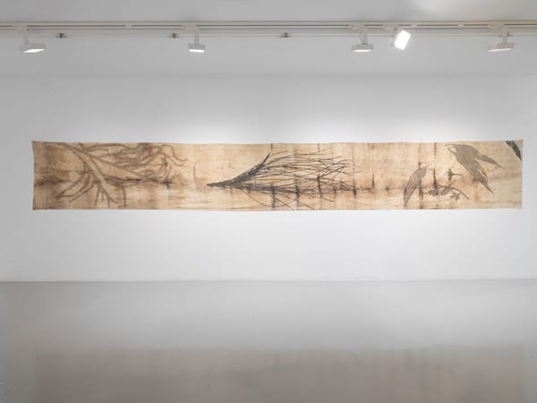 Remembering the future, 2024, Milani Gallery, Meeanjin, Brisbane. Photography by Carl Warner.