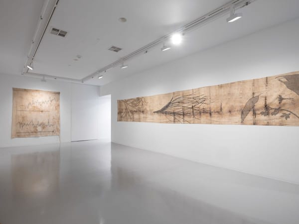 Remembering the future, 2024, Milani Gallery, Meeanjin, Brisbane. Photography by Carl Warner.