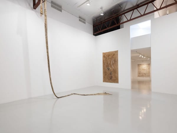 Remembering the future, 2024, Milani Gallery, Meeanjin, Brisbane. Photography by Carl Warner.