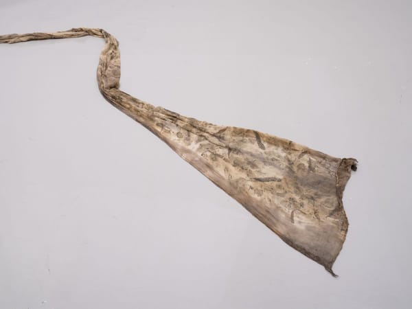 Remembering the future, 2024, Milani Gallery, Meeanjin, Brisbane. Photography by Carl Warner.