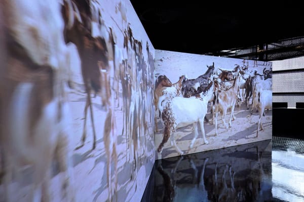 Speak The Wind, Installation view, Performing the Invisible, musée du quai Branly, France.