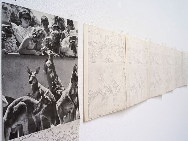 Systematically Altered Photograph: Kangaroos (detail) Systematically Altered Photograph: Kangaroos (detail)