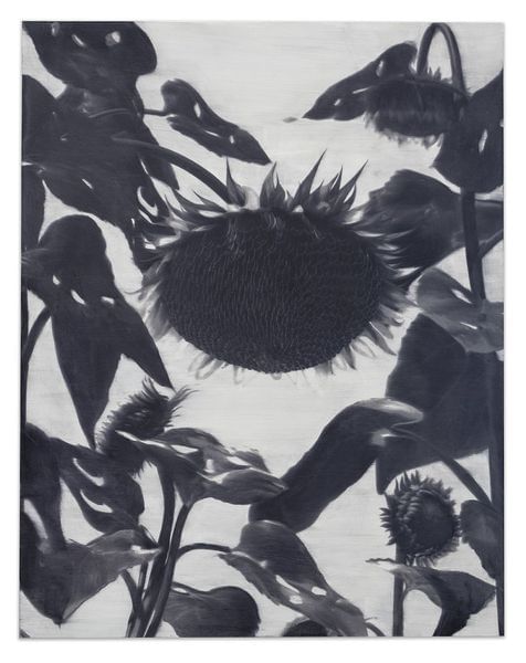 In sunshine, lifts trembling