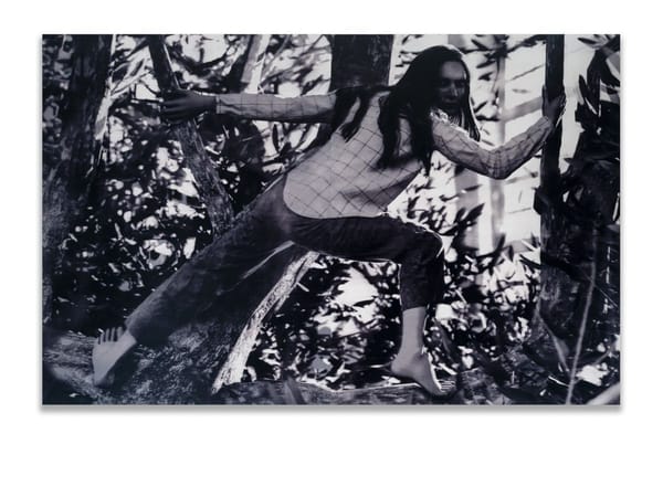 James Barth Stone Milker (Study #1), 2024 Oil paint screen printed on marine ply and cedar Two panels: 178 x 114 cm overall