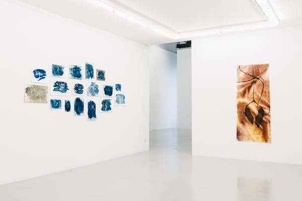 Installation view for bodies of water and melting snow at Milani Gallery Installation view for bodies of water and melting snow at Milani Gallery