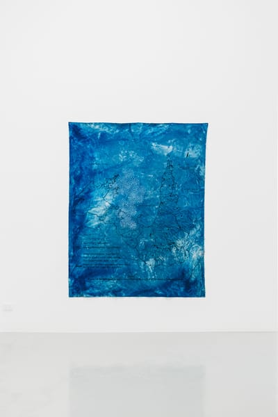 Installation view of great artesian basin springs, the gulf (jiwil, wanami) at Milani Gallery Installation view of great artesian basin springs, the gulf (jiwil, wanami) at Milani Gallery