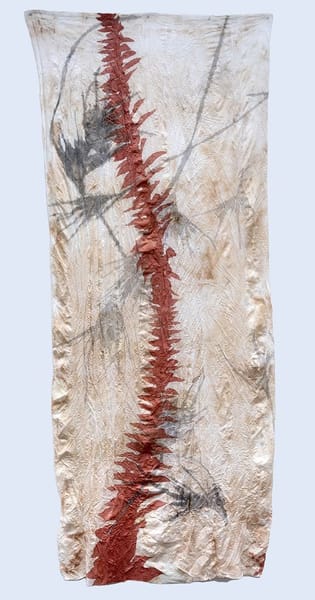 red spine (bunya) and kangaroo grass