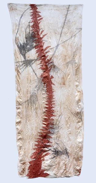 red spine (bunya) and kangaroo grass red spine (bunya) and kangaroo grass