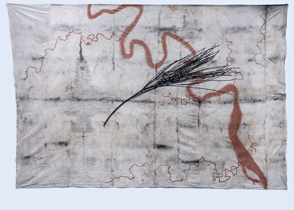 canoe creek, humbug reach, black casuarina with spectogram: gila (native bee, light coloured)