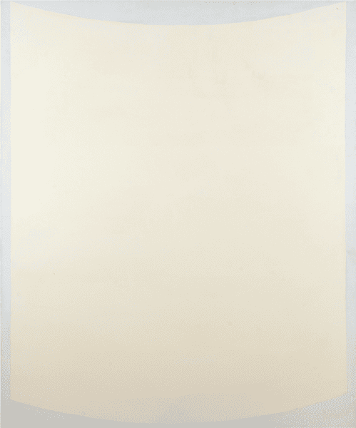 White Mandylion White Mandylion