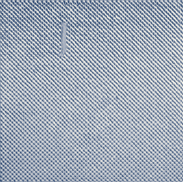 in the Dead Sea, there are no fish in the Dead Sea, there are no fish