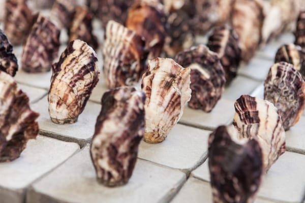 Foundations II Foundations II