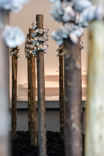 UQAM To Come Together As Water installationview 20250721 jruckli 025