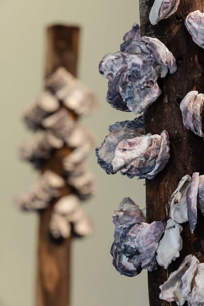 UQAM To Come Together As Water installationview 20250721 jruckli 036