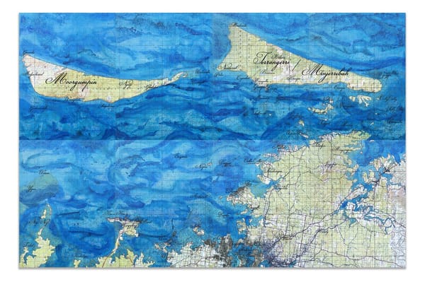 After The Flood IV After The Flood IV