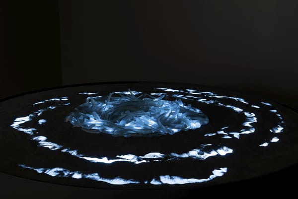 The Tide Waits for No One The Tide Waits for No One