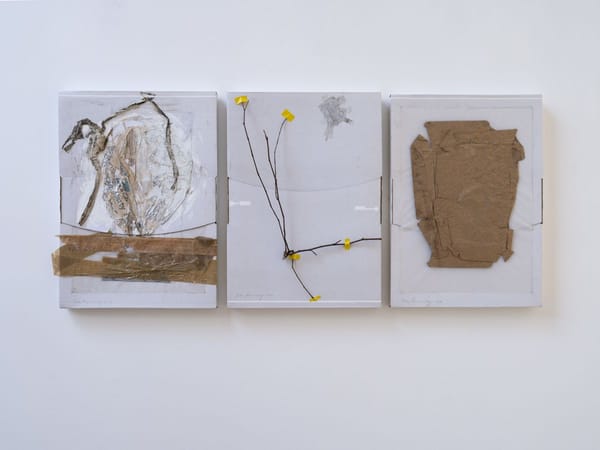 Peter Kennedy,  Untitled (Triptych), 2019 , Milani Gallery, Meeanjin, Brisbane. Photography by Carl Warner.