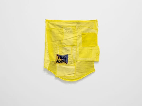 Blockade in the studio, evict Adani