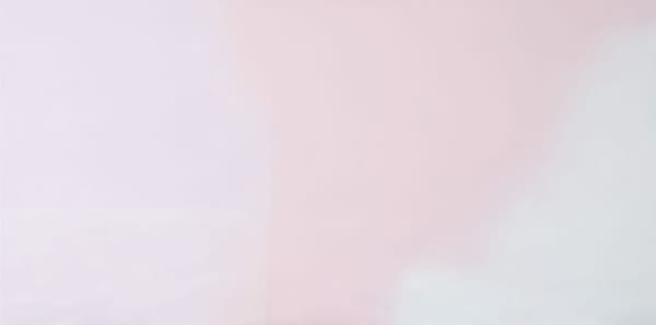 Rose powdered nebula and transparent room no. 2