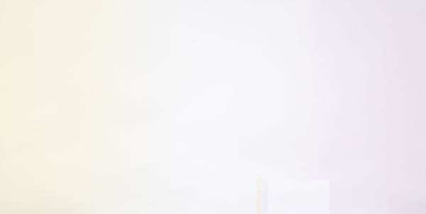 Window - pale prism - between Lemon Butterfly Magnolia and distant Cherry Blossom