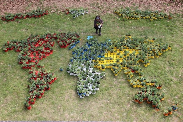 Nous ne notons pas les fleurs, Fort Ruigenhoek (Performance view) Nous ne notons pas les fleurs, Fort Ruigenhoek (Performance view)