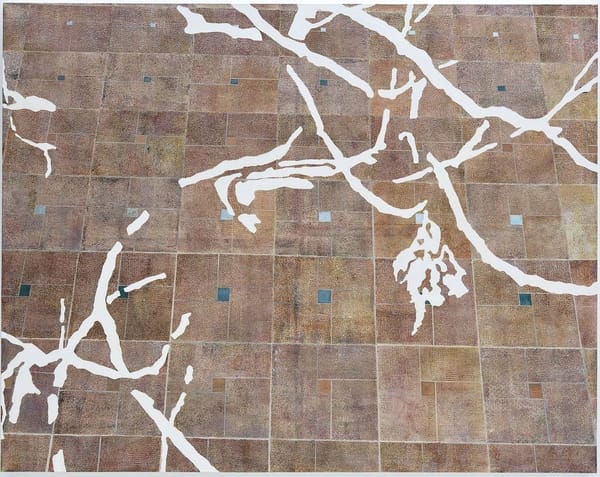 Fig and tiles