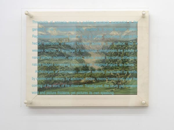 Value Added Landscape #7