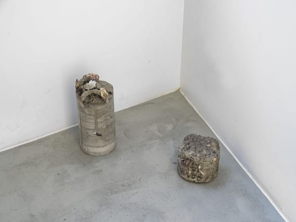 Untitled (Extractions II)