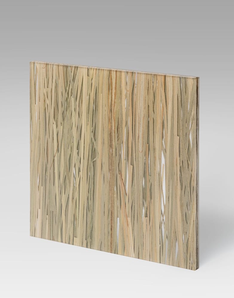 Interlayers | Bear Grass Bear Grass | 3form