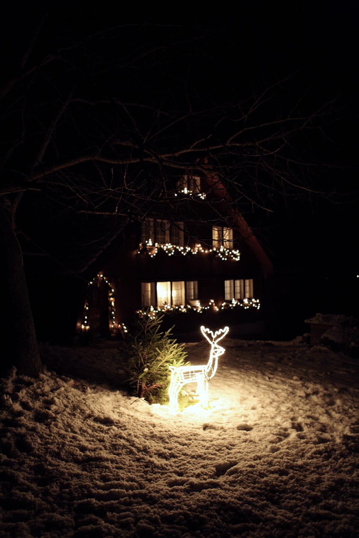© Museum Appenzell_Innerrhoder Weihnachts-Aussenbeleuchtung Foto Christiane Doerig 2006