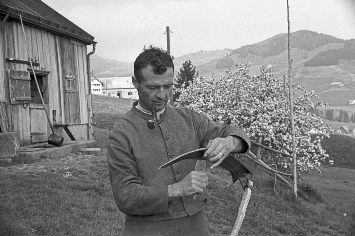 Wetzen Stark Neugaden 20x30