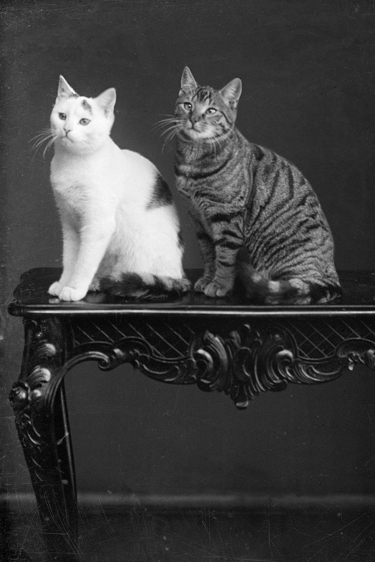 ©-Museum-Appenzell_Portraitfotografie_1900-1930_19_2019