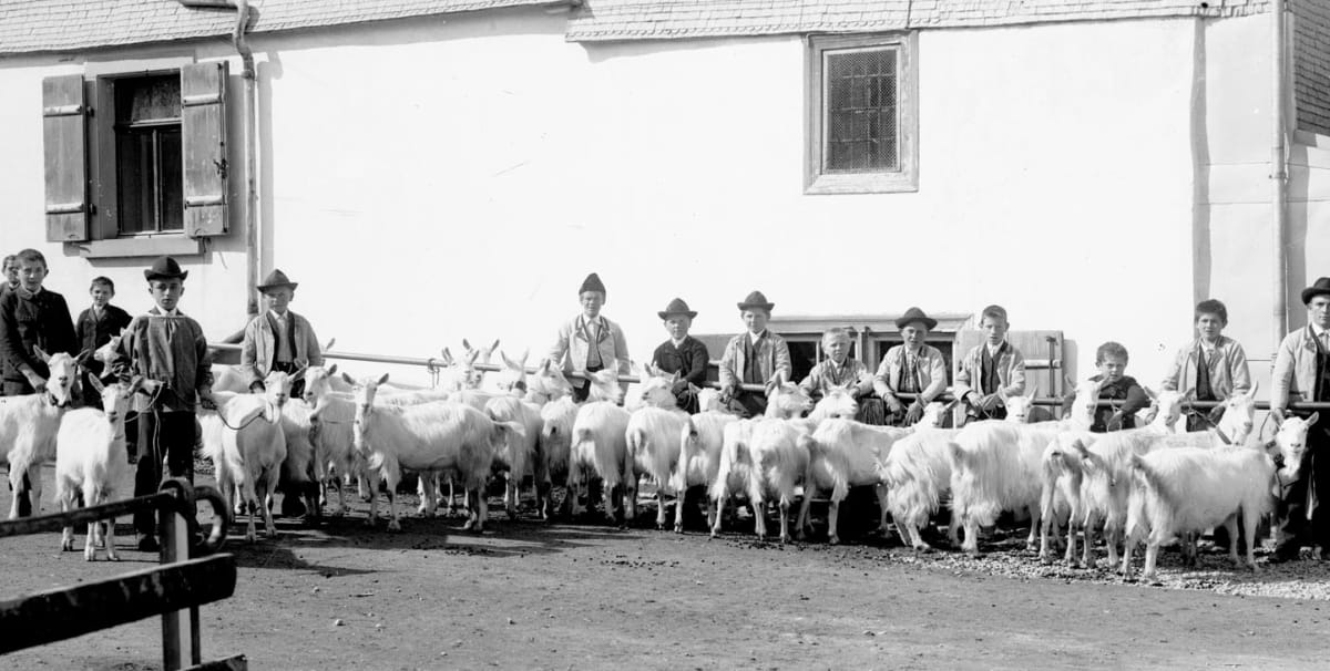 © Museum-Appenzell-Ziegenschau-Egon-Müller-um-1910