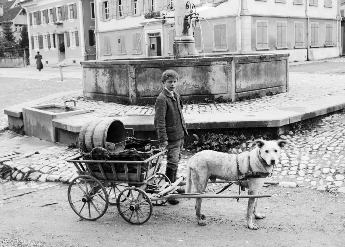 © Museum-Appenzell-Kleintransport-mit-Zughund-auf-Landsgemeindeplatz-Jakob-Müller-um-1910