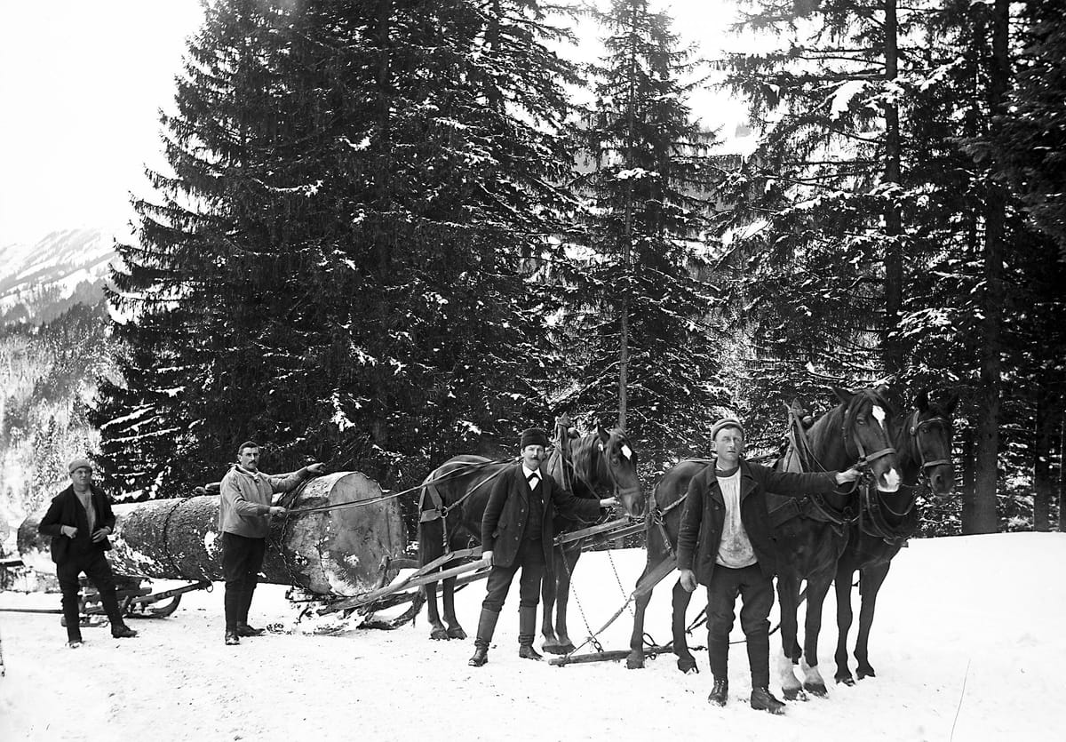 Museum Appenzell Holztransport von Ratsherr Streule Foto Emil Manser Scan ab Glasplatte 18 Januar 1916