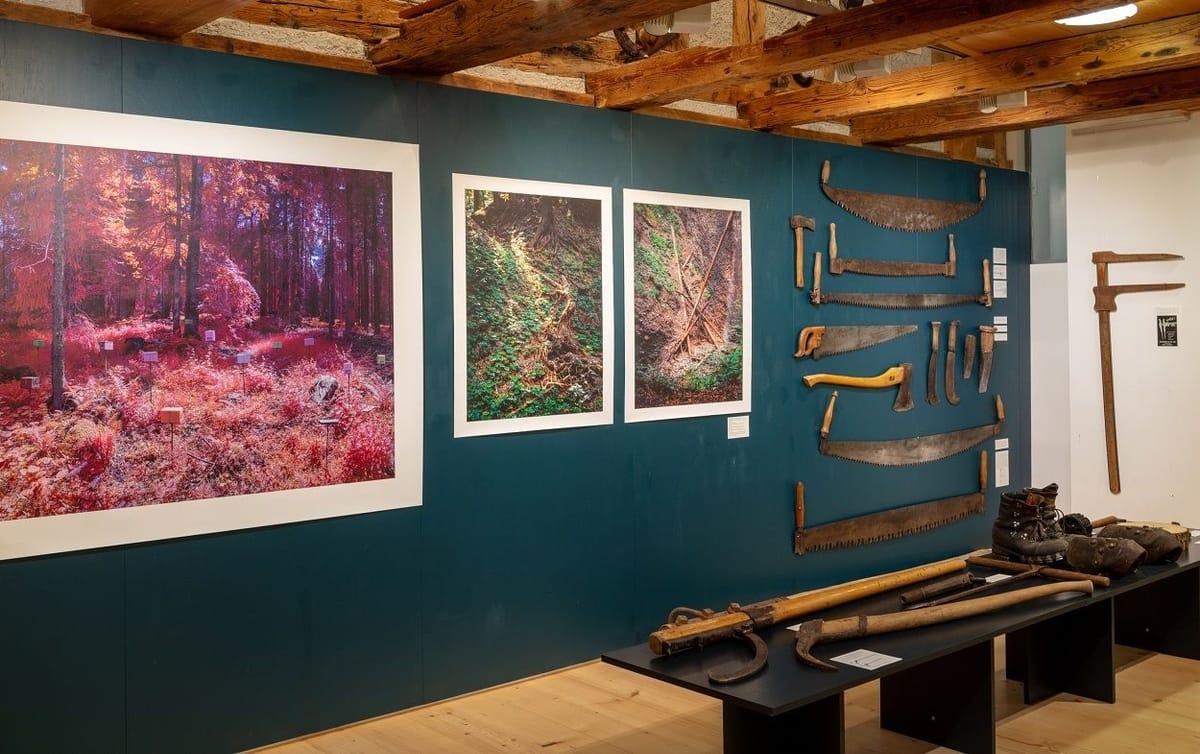 Museum Appenzell Blick in die Ausstellung Wald Poeschelibock Waldteufel und Laubsack 8