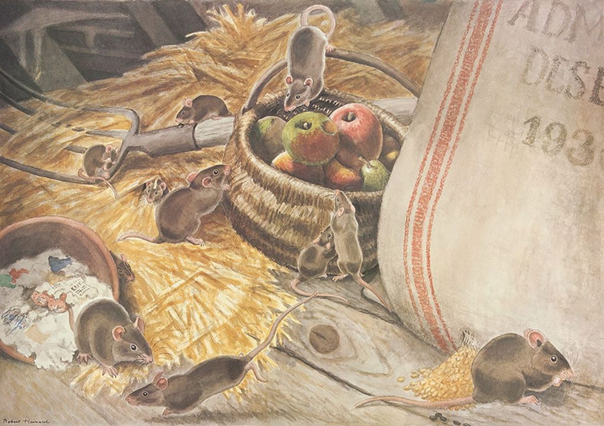 221217 019 bearbeitet kleiner