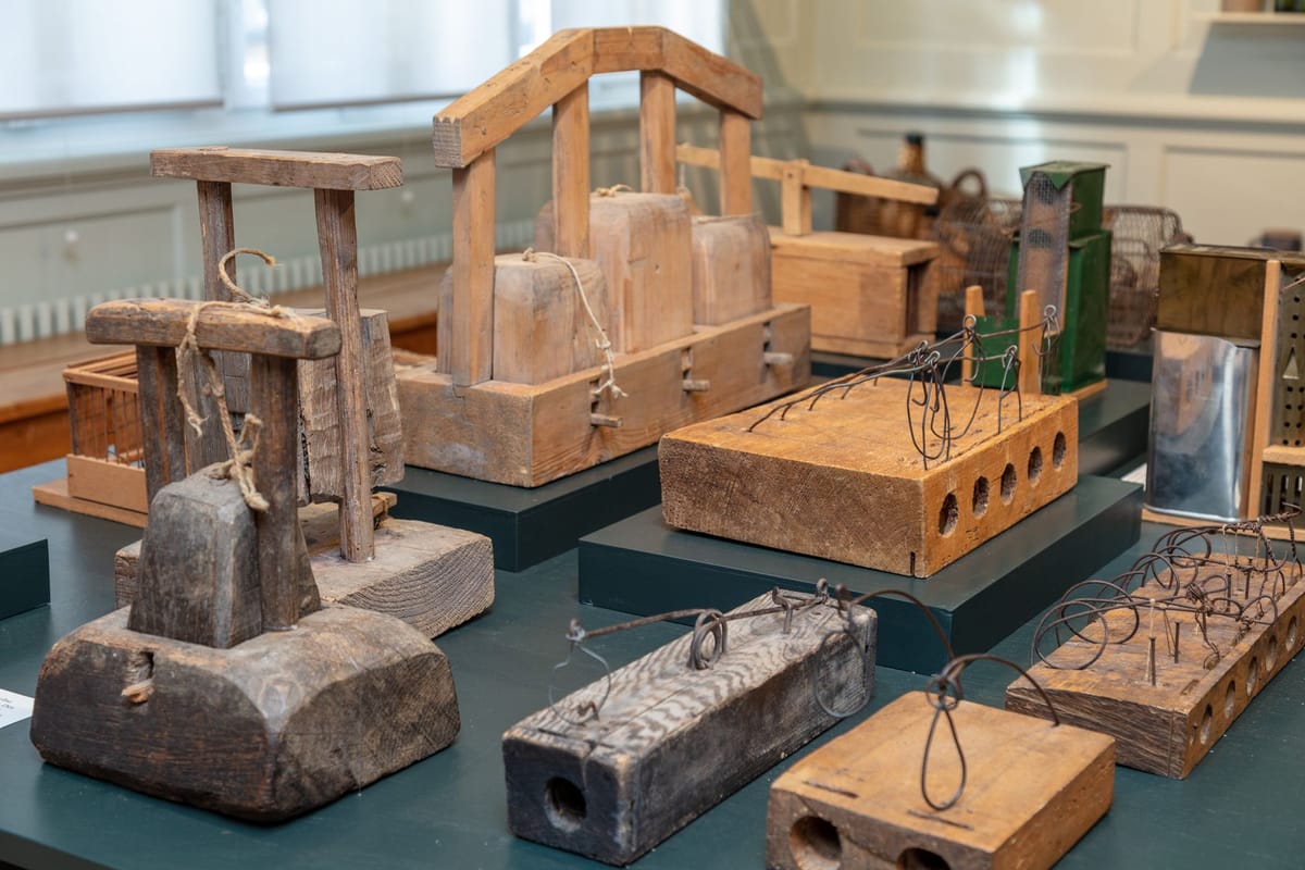 Museum Appenzel Blick in die Ausstellung Die Maus 4