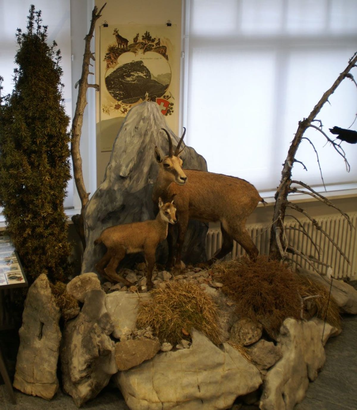 ©-Museum-Appenzell-Blick-in-die-Ausstellung-Ansichtskarten