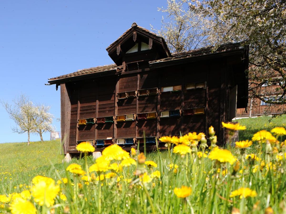 © Museum Appenzell_Bienenhaus bei Unterschlatt
