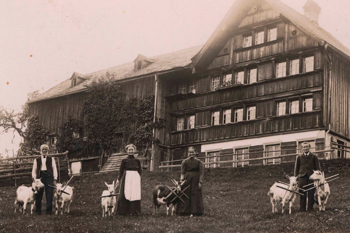 © Museum-Appenzell-Heimziegen-mit-Chaab-um-1890