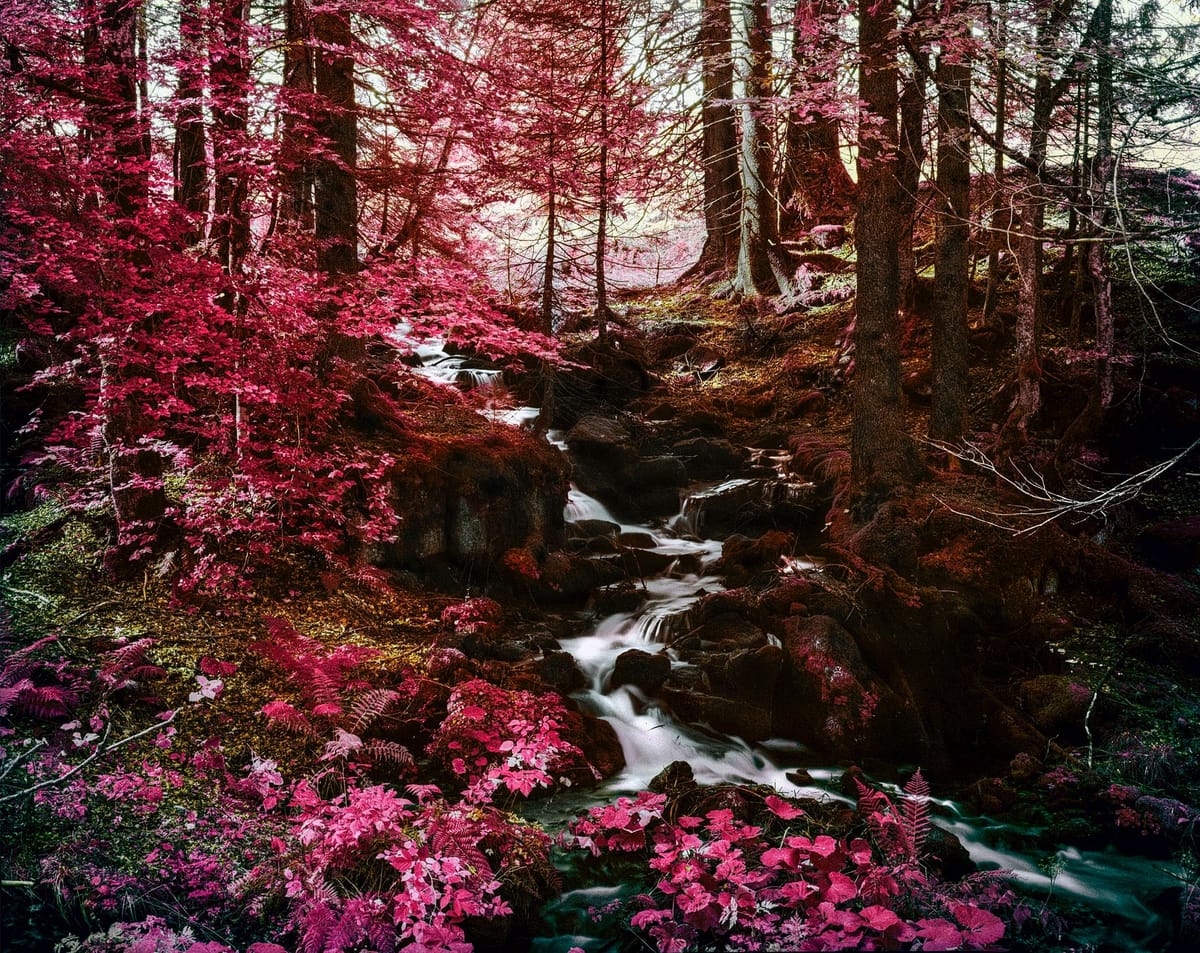 Museum Appenzell Ueli Alder Quelle aus der Serie Field Notes 2020