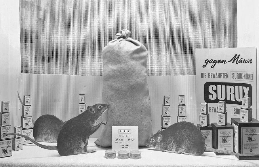 Copyright_Museum-Appenzell-Schaufenster-Werner-Bachmann-um 1940